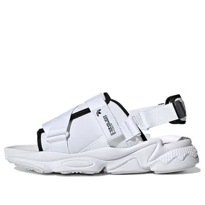 Adidas Originals Ozweego Sandal Minimalistic White Sandals 'white Black'