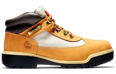 Timberland Mens  Field Boots In Multi