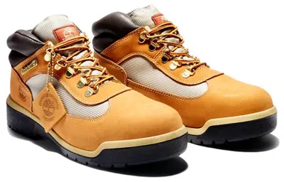Timberland Mens  Field Boots In Multi