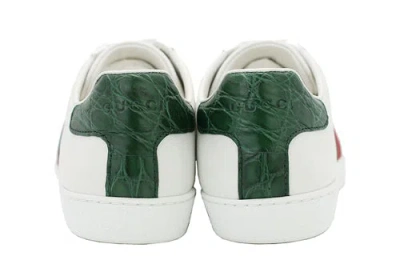 Gucci (wmns)  Ace 'green Crocodile' In Multi
