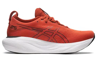 Asics Gel-nimbus 25 'spice Latte' In Multi