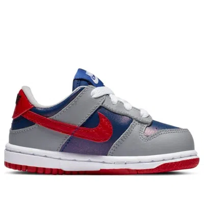 Nike Dunk Low "samba" Sneakers In Gray