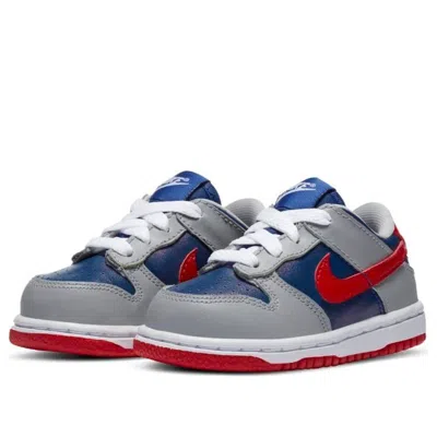 Nike Dunk Low "samba" Sneakers In Gray