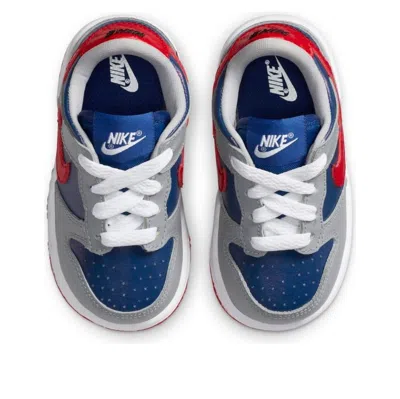 Nike Dunk Low "samba" Sneakers In Gray