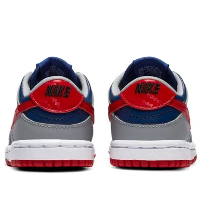 Nike Dunk Low "samba" Sneakers In Gray