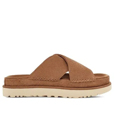 Ugg Shoes In Brown