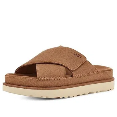 Ugg Shoes In Brown