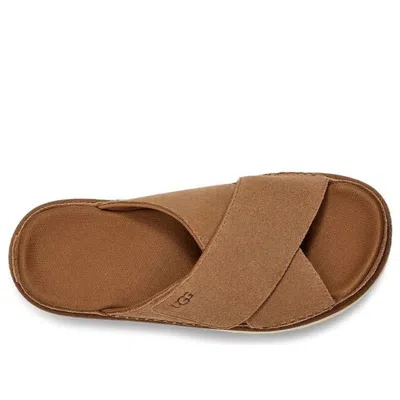 Ugg Shoes In Brown