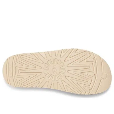 Ugg Shoes In Brown