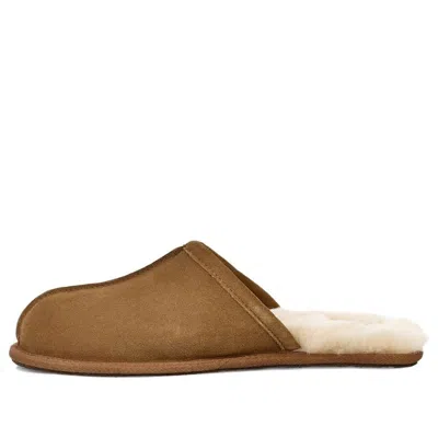 Ugg Ciabatte Scuff In Brown