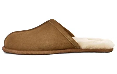 Ugg Ciabatte Scuff In Brown