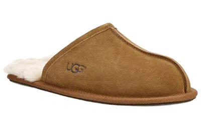 Ugg Ciabatte Scuff In Brown