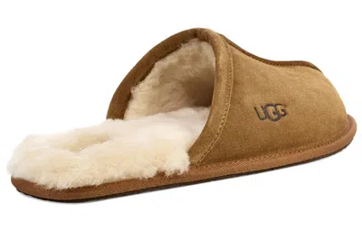 Ugg Ciabatte Scuff In Brown