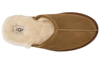 Ugg Ciabatte Scuff In Brown