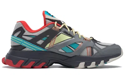 Reebok Dmx Trail Shadow 'cold Grey Rustic Clay' In Multi