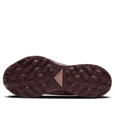 Nike (wmns)  Pegasus Trail 2 Gtx 'desert Dust Mauve' In Pink