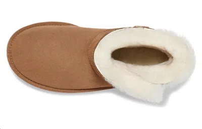 Ugg (wmns)  In Brown