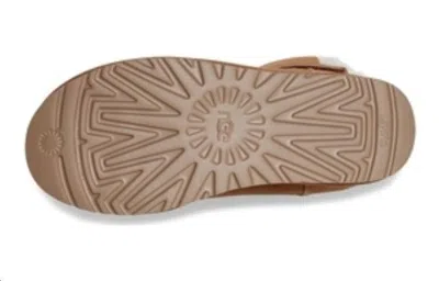 Ugg (wmns)  In Brown