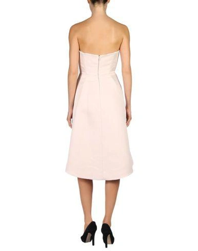 Shop Halston Heritage Short Dress In Light Pink