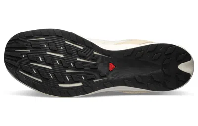 Salomon Pulsar Prg Knit 'vanilla Ice' In Multi