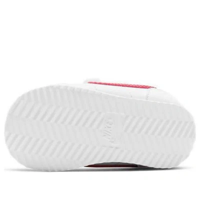 Nike (td)  Cortez Basic Sl 'white Varsity Red'