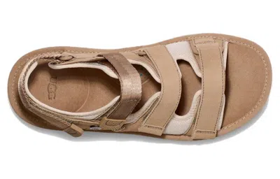 Ugg Goldencoast Multistrap Sandal 'sand' In Brown