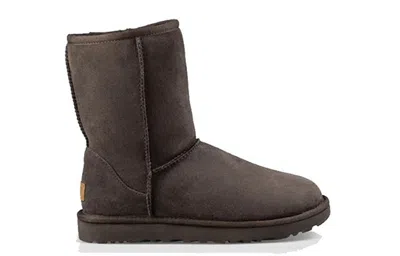 Ugg (wmns)  Classic Short Ii Brown Pull On Boots