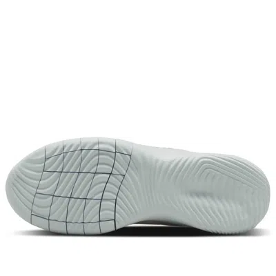 Nike (wmns)  Flex Experience Run 11 Wide 'white Metallic Silver' In Multi