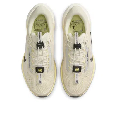 Nike Pegasus Easyon Running Shoe In Gray