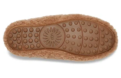 Ugg (wmns)  Slipon Comfortable Loafers 'brown'