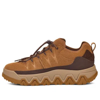 Ugg Captrail Low 'chestnut' In Brown