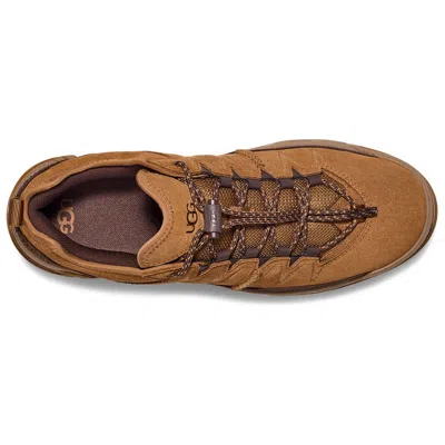 Ugg Captrail Low 'chestnut' In Brown