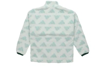 Adidas Originals Adidas Sport Performance Stay Warm Windproof Stand Collar Polar Fleece Pullover Jacket Green