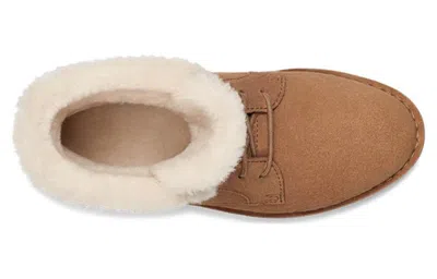 Ugg (wmns)  In Brown