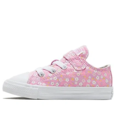 Converse (td)  Chuck Taylor All Star 1v Toddler/youth In Pink