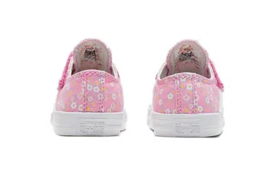Converse (td)  Chuck Taylor All Star 1v Toddler/youth In Pink