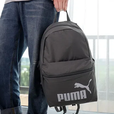 Puma Phase Backpack 'grey' In Gray