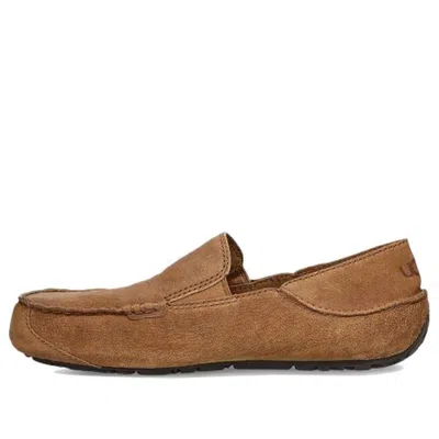 Ugg Upshaw Sports Casual Shoes In Brown