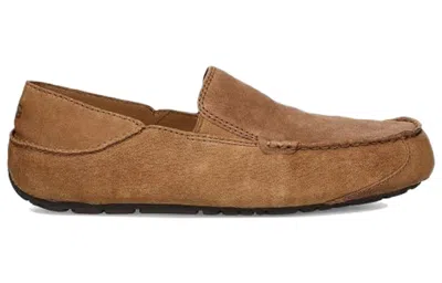 Ugg Upshaw Sports Casual Shoes In Brown
