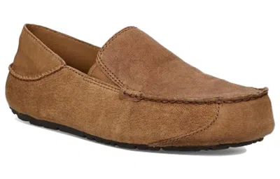 Ugg Upshaw Sports Casual Shoes In Brown