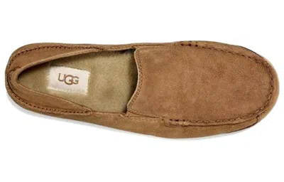 Ugg Upshaw Sports Casual Shoes In Brown