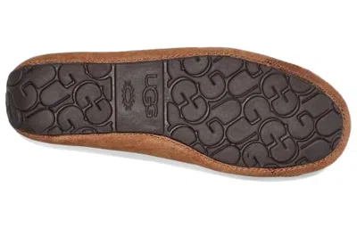 Ugg Upshaw Sports Casual Shoes In Brown