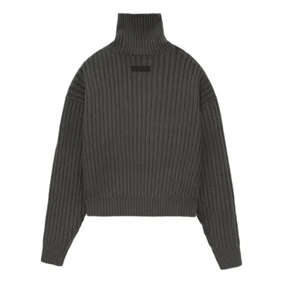 Essentials (wmns) Fear Of God  Ss24 Turtleneck 'ink' In Multi