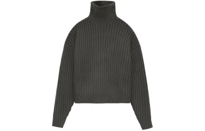 Essentials (wmns) Fear Of God  Ss24 Turtleneck 'ink' In Multi