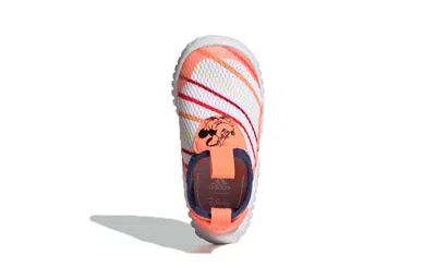Adidas Originals (td) Adidas Disney X Rapidazen Sum Infant 'minnie Mouse' In White