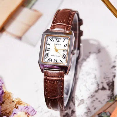 Casio Dress Series Dial Brown Belt Quartz Whitedial Plate Whitebrown Analog