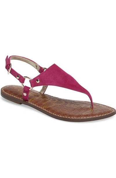 Shop Sam Edelman 'greta' Sandal (women) In Pink Garnet