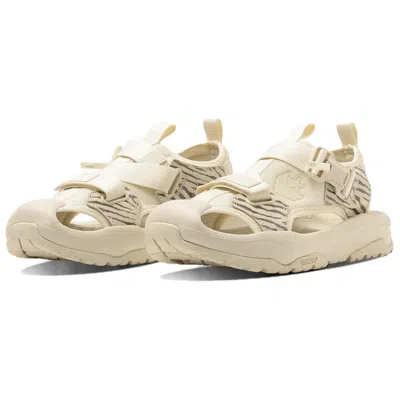 Converse Msd Cp  'white' In Multi