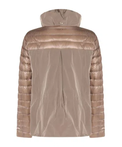 Herno Padded Jackets With Hood And Elastic Cuffs In Brown
