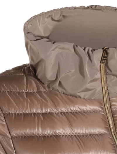 Herno Padded Jackets With Hood And Elastic Cuffs In Brown